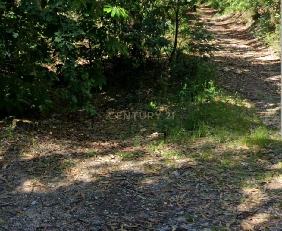 Terreno Rústico em Gondomar - Oportunidade Única por 75.000€ - Image 8