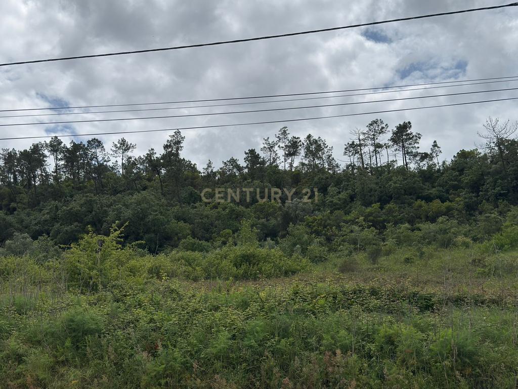 Terreno à venda em Alcobaça – Oportunidade única! - Image 3