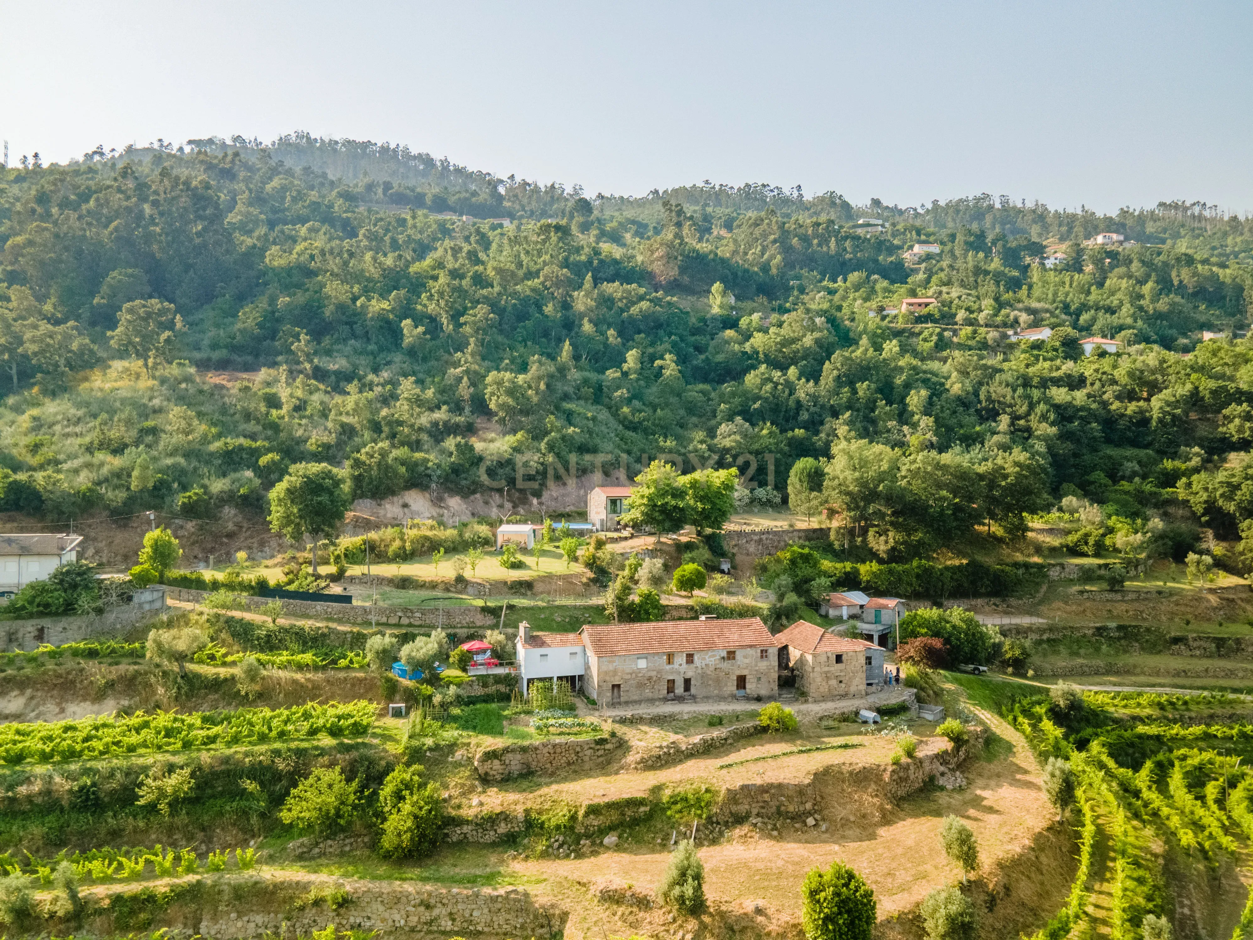 Quinta com Vista Deslumbrante sobre o Rio Douro – Projeto Aprovado para Hotel Rural | Paços de Gaiolo - Image 1