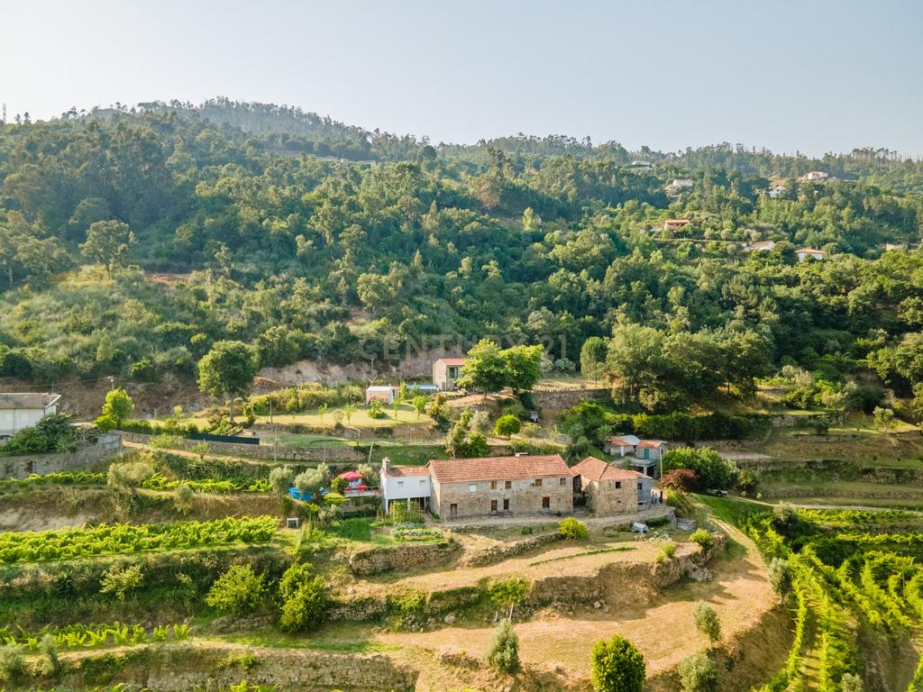 Quinta com Vista Deslumbrante sobre o Rio Douro – Projeto Aprovado para Hotel Rural | Paços de Gaiolo - Image 1