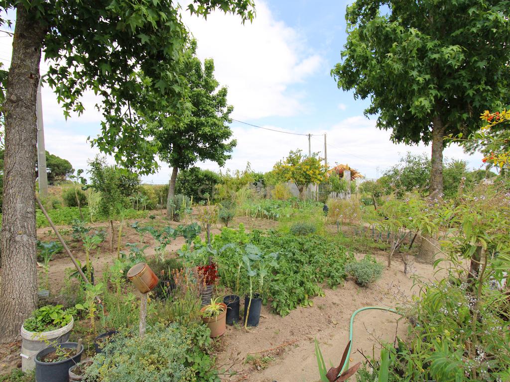 Quinta em Palmela - Image 31