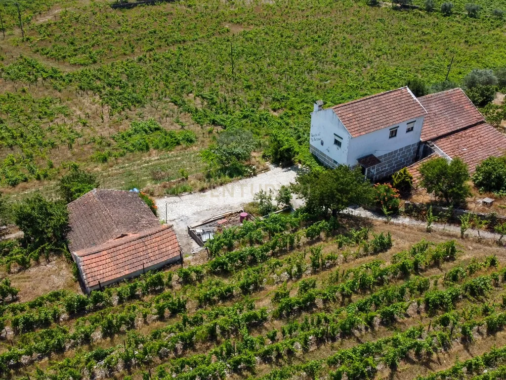 Quinta Encantadora T4 em Tabuaço, Viseu - Image 10