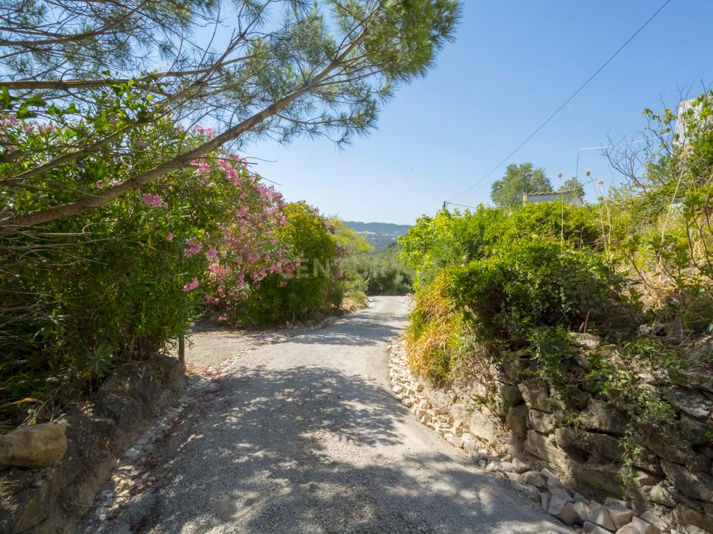 Quinta de 3.500 m2 na Serra da Arrábida - Image 23