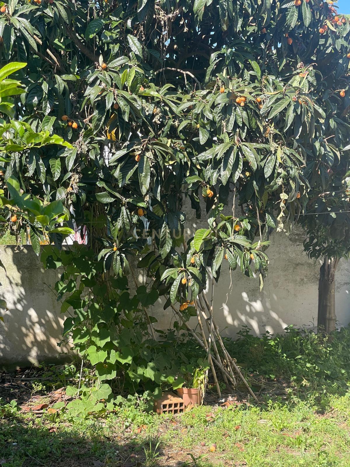 Moradia Isolada inserida em lote de terreno com 300m2 no Penteado - Image 13