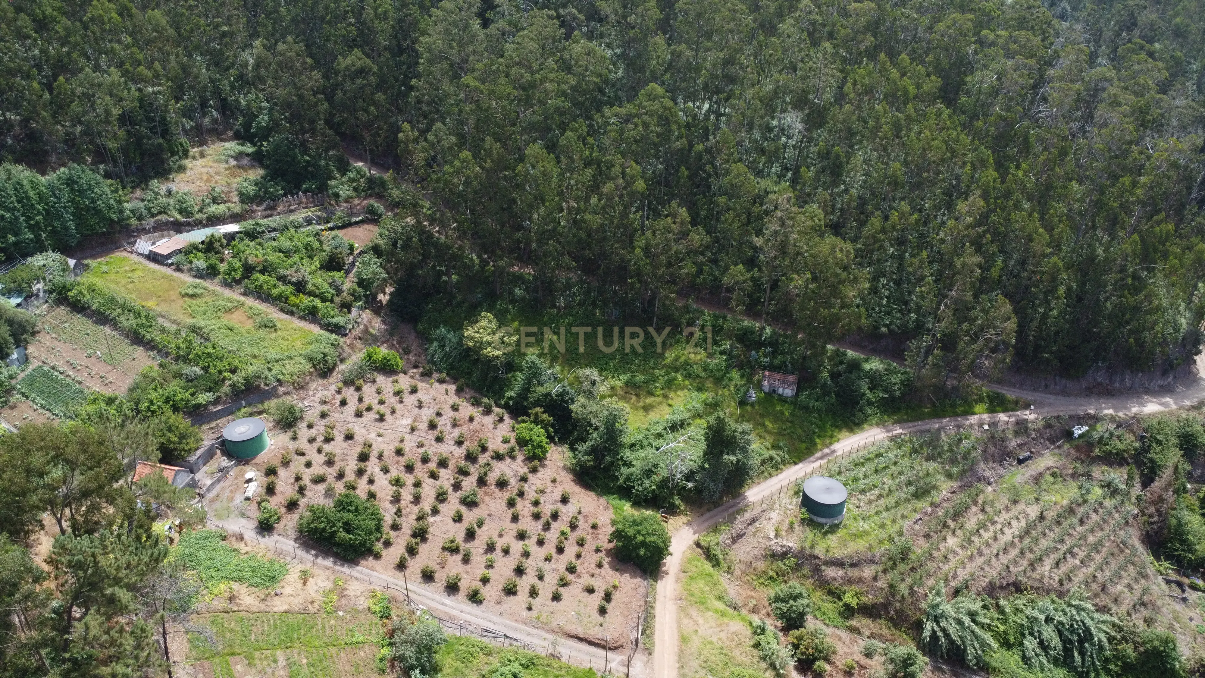 Fotografia 6 de Oportunidade Exclusiva na Madeira – Terreno com 3.796 m² nos Canhas, Ponta do Sol