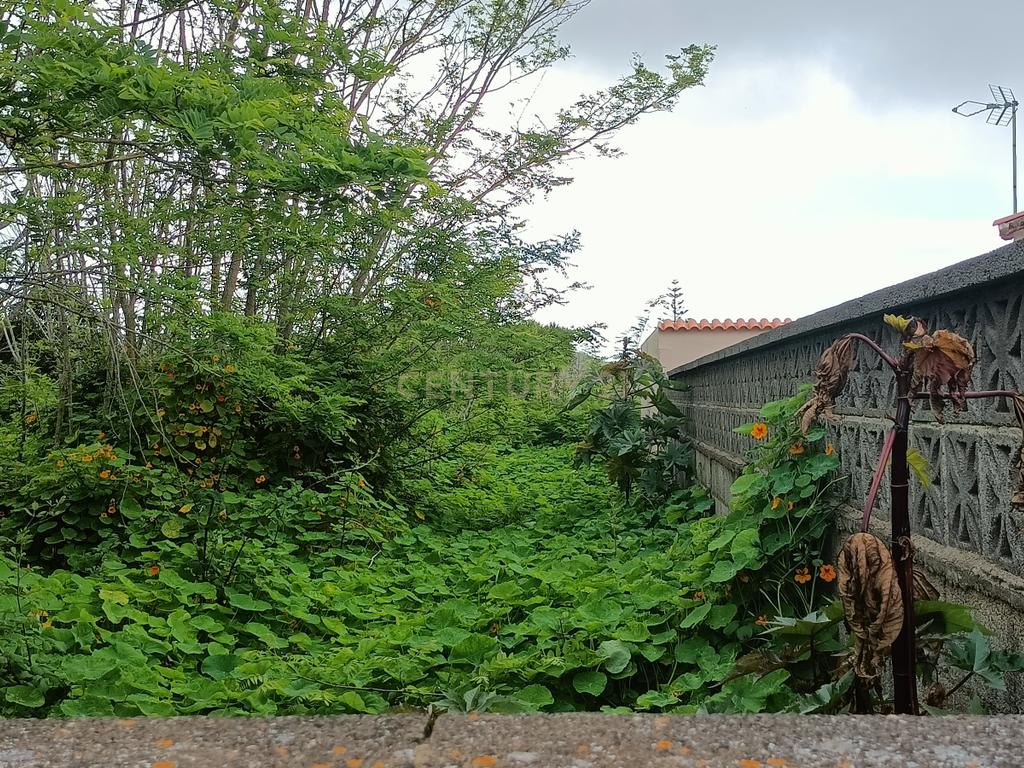 Terreno para construção em Guamasa - Image 15