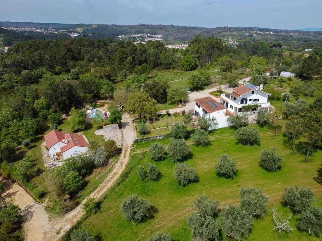 Quinta de Charme no Centro de Portugal – Natureza, Privacidade e Potencial Turístico em 2,9 Hectares - Image 3