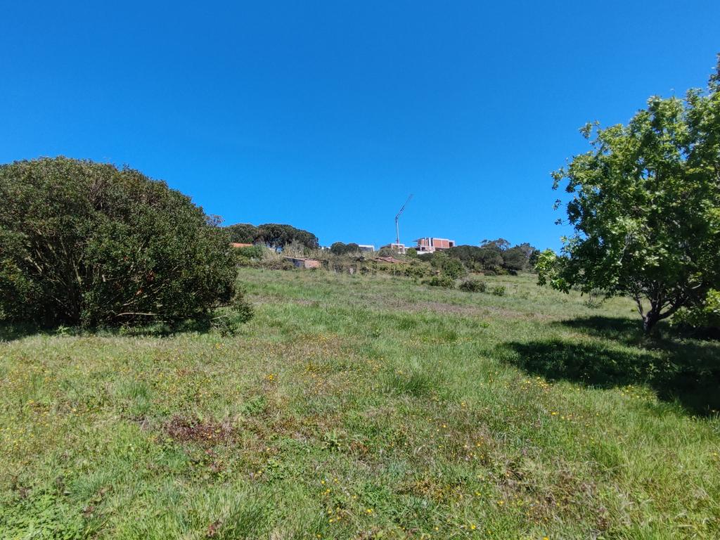 Terreno na Nazaré - Image 17
