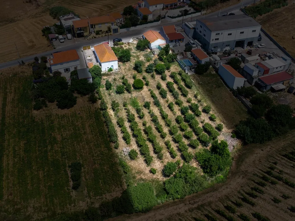 Quinta em Bonabal com Moradia T3 + Armazém + Terreno com mais de 3 400m2 - Image 17