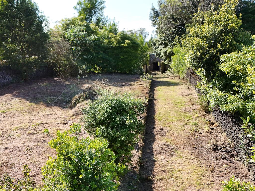 Terreno com PIP Aprovado para Moradia T3 | Cabouco – Lagoa - Image 8