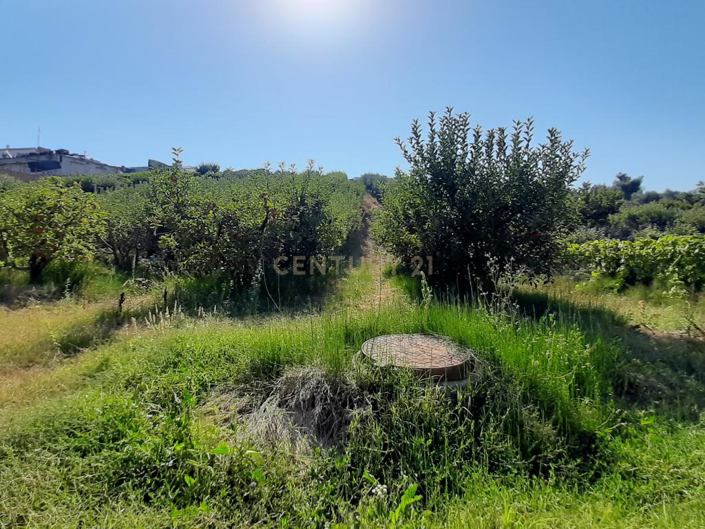 Terreno para construção Condomínio 2 Moradias + anexo comum em Turcifal - Image 11