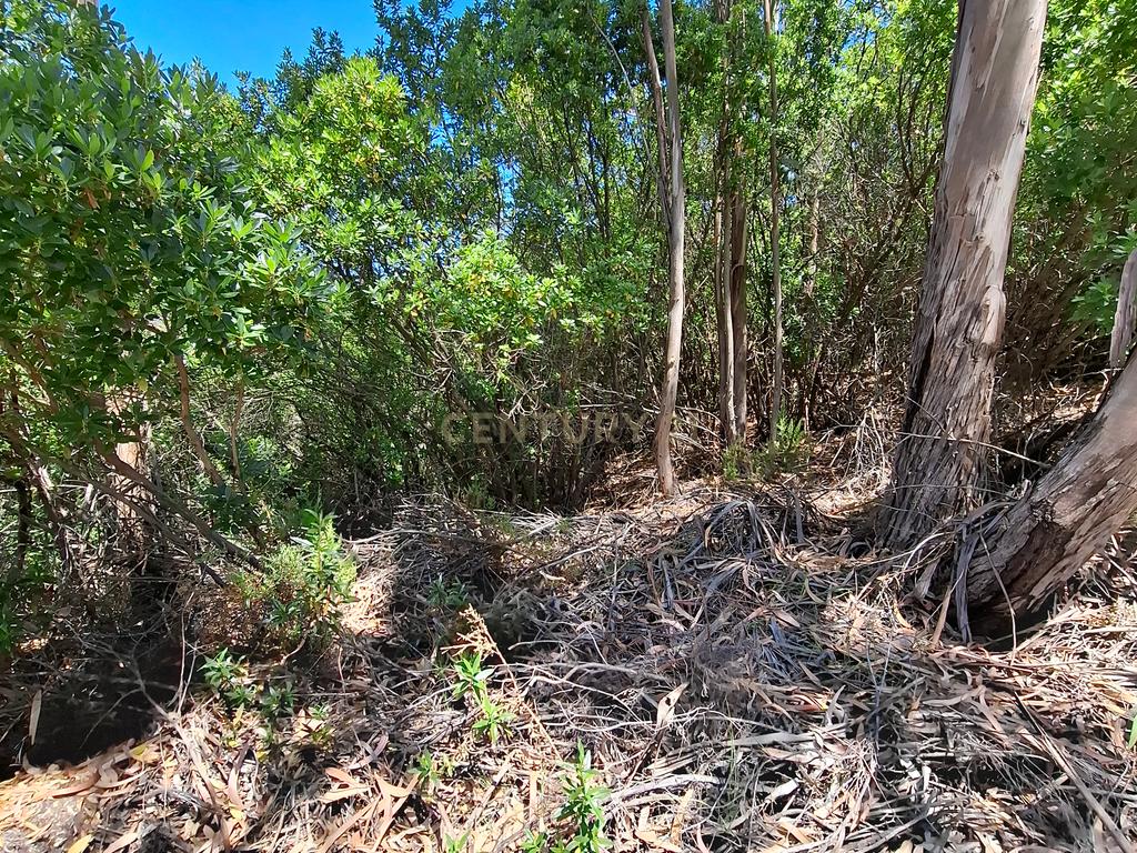 Terreno com construção rural - Marmelete. - Image 6