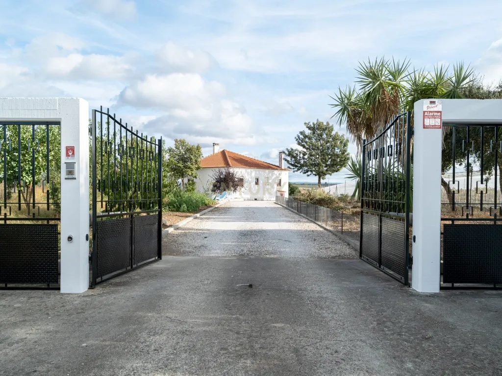 🌿 Quinta com Moradia T4 e Piscina | 3,25 hectares| Olival | Vinha| Amareleja, Alentejo - Image 2