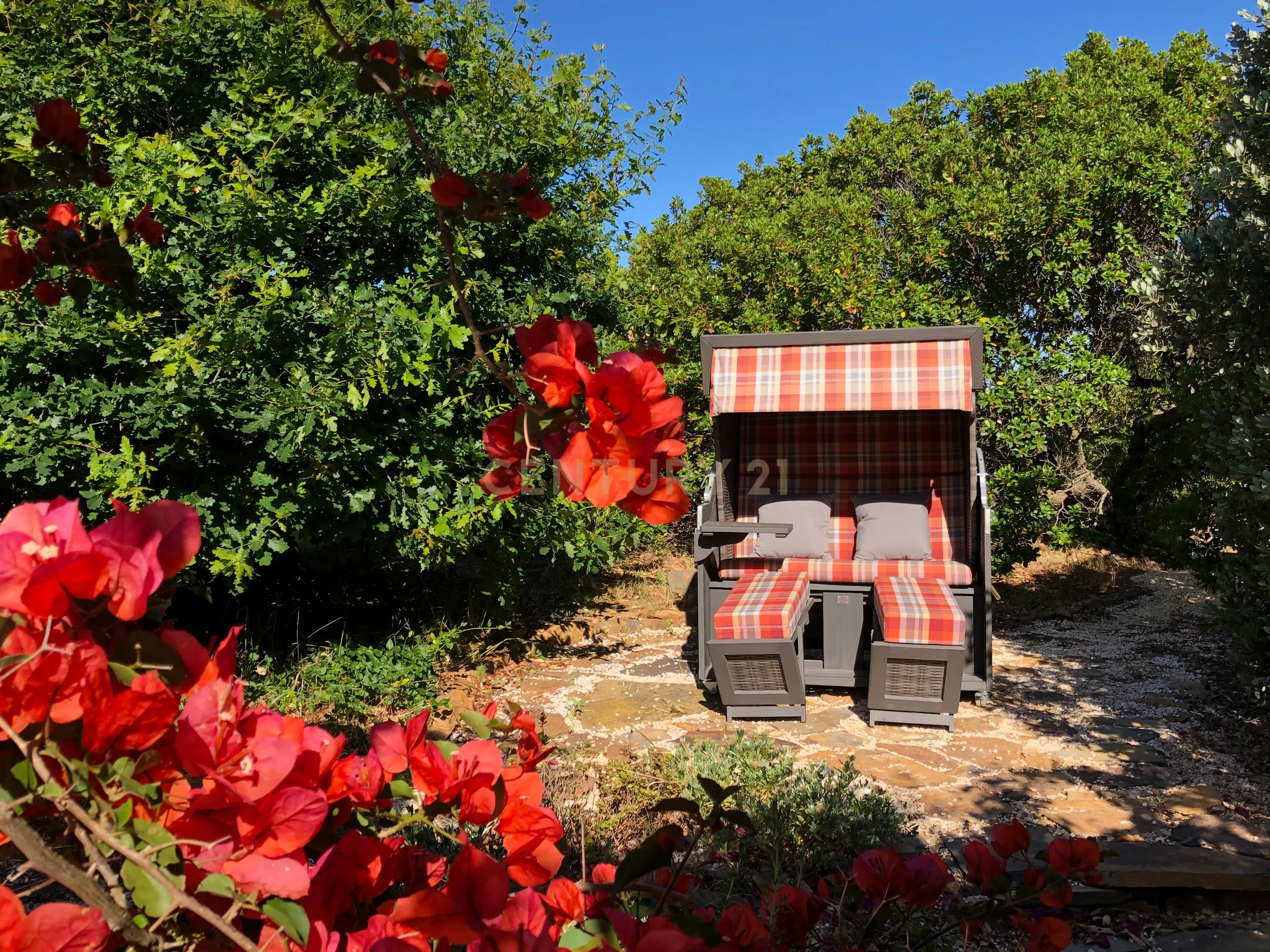 Fotografia 8 de Vivenda com propriedade em Bordeira