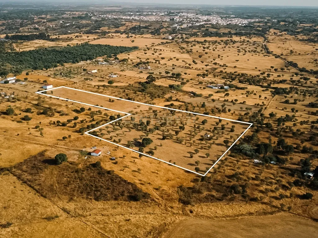 Propriedade rústica com potencial agrícola, habitacional e turístico – 3,12 hectares – Nisa - Image 6