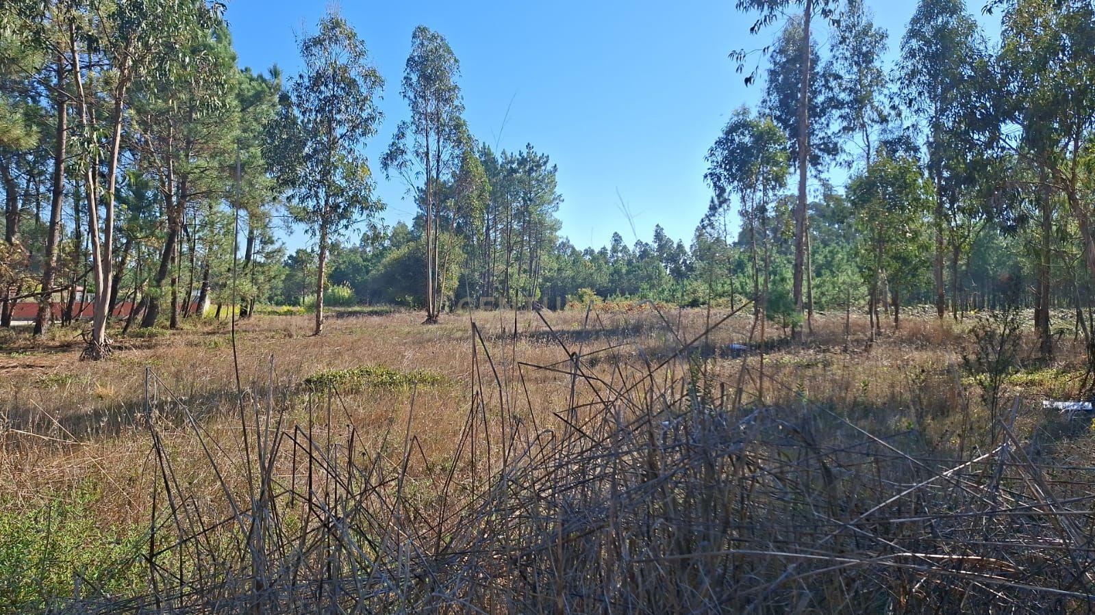 Moradia T3 à venda em Ouca, Vagos — foto 11