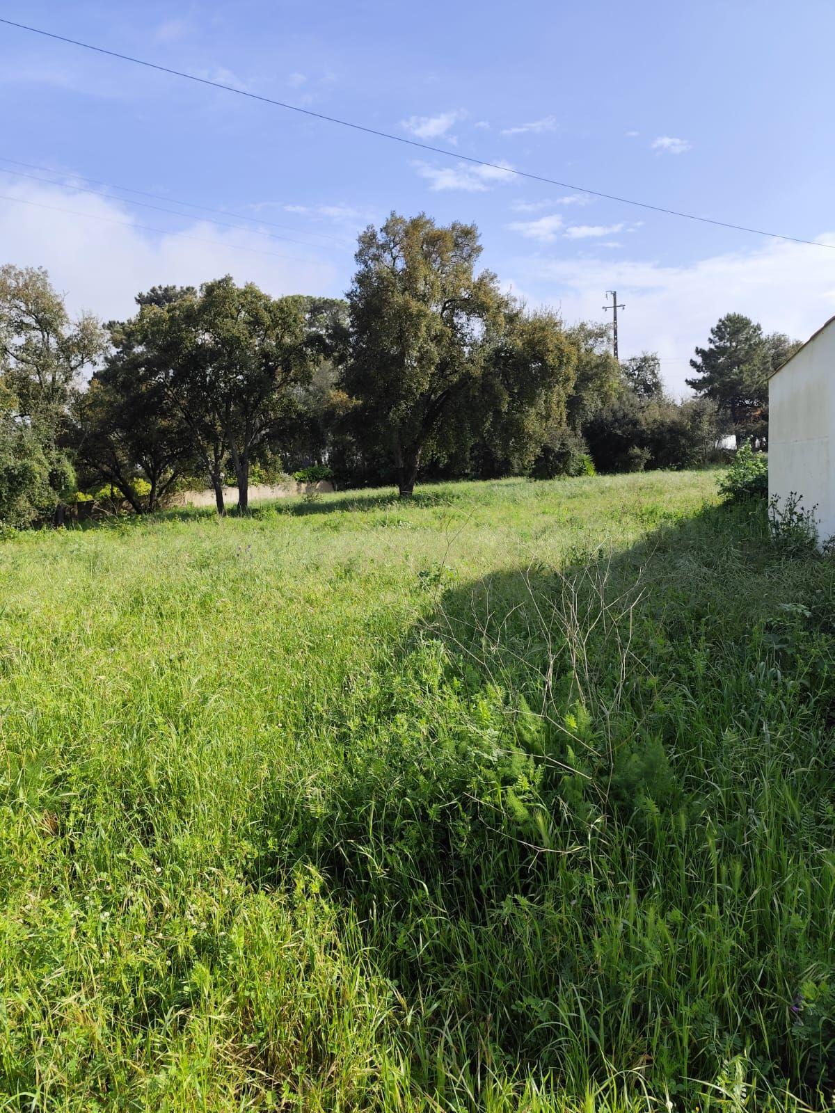 Terreno de 1110m2 Urbano, Oportunidade única  - Image 3