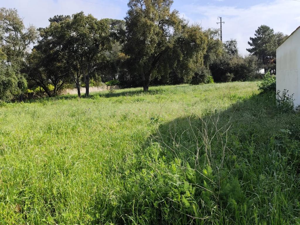 Terreno de 1110m2 Urbano, Oportunidade única  - Image 3