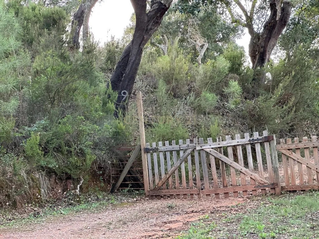 Quinta de Luxo na Serra da Arrábida – Um Refúgio Exclusivo no Coração da Natureza - Image 55