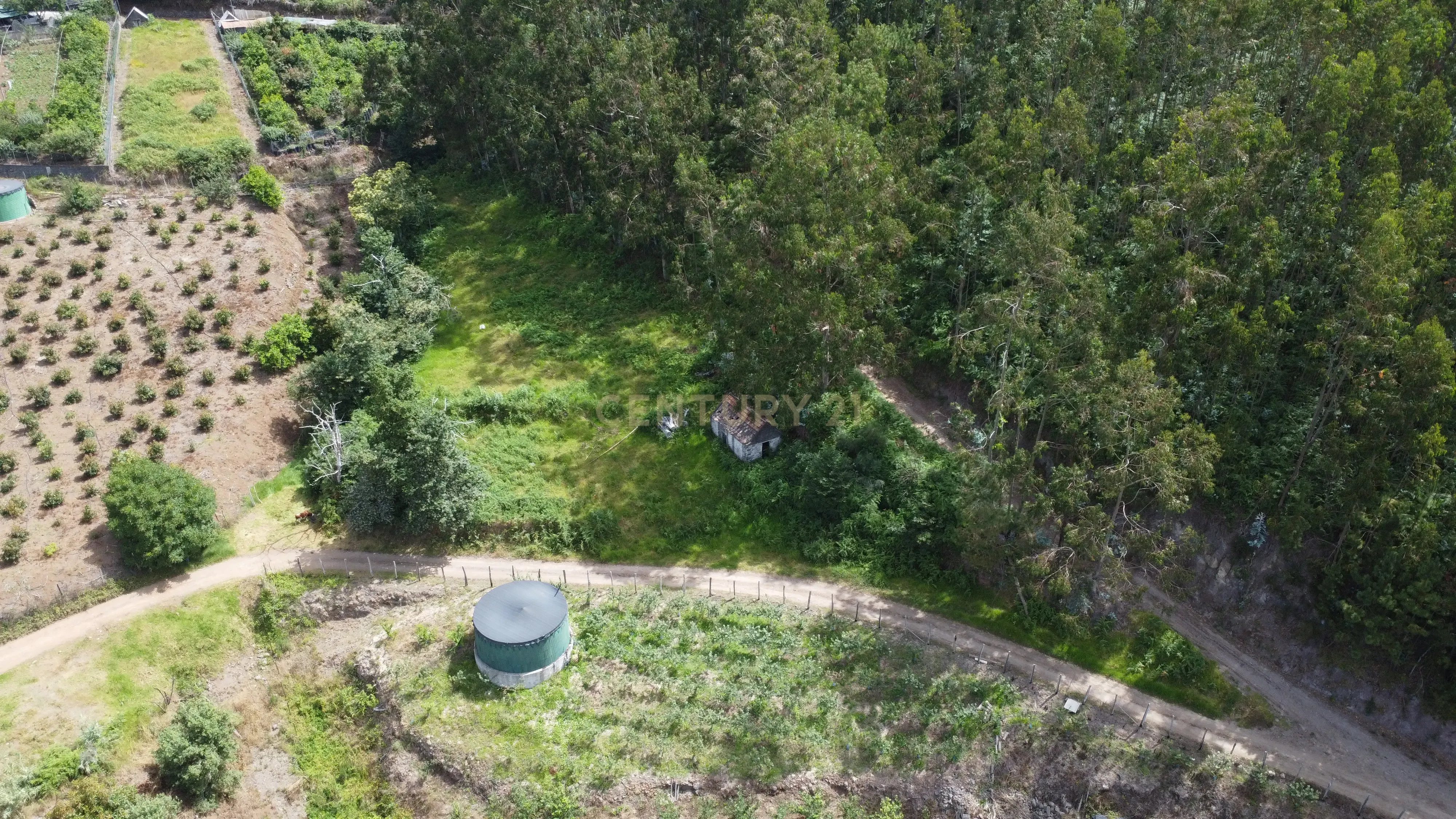 Fotografia 2 de Oportunidade Exclusiva na Madeira – Terreno com 3.796 m² nos Canhas, Ponta do Sol