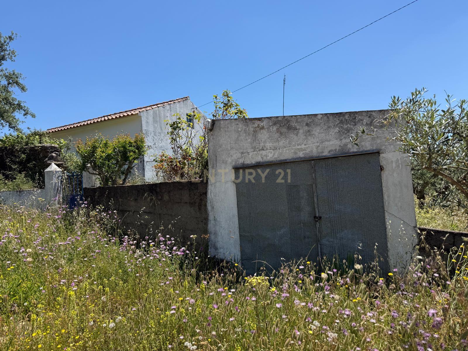 Fotografia 9 de Casa de Campo em Alegrete, Portalegre - Oportunidade Única