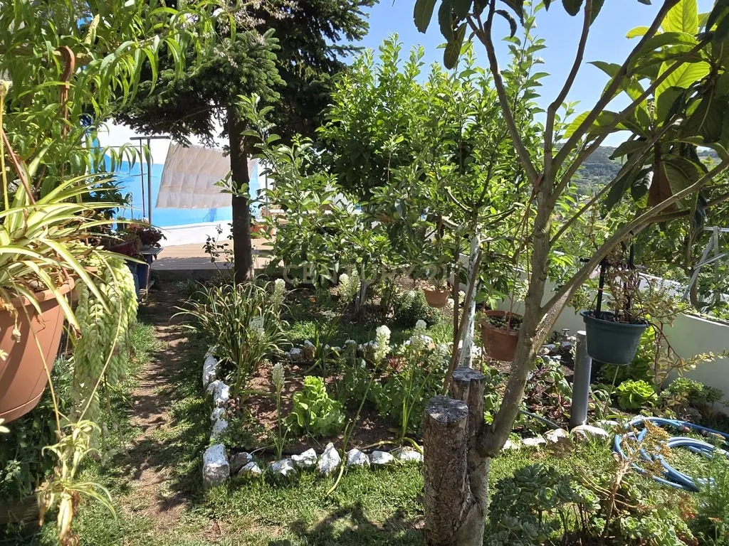 Moradia Renovado com Terraço e Jardim Caixaria - Torres Vedras - Image 46
