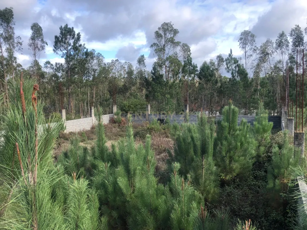 Terreno para Armazém em Carriço, Pombal - 898m² - Image 4