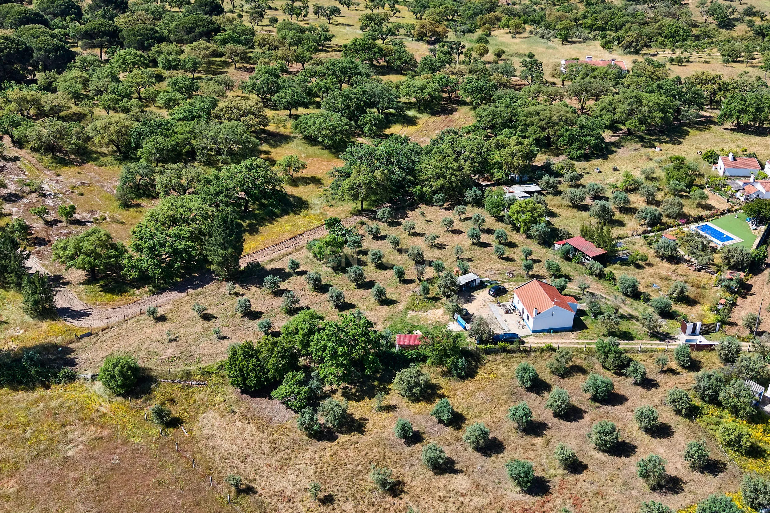 Viva o autêntico Alentejo – Seu refúgio em Ermidas do Sado - Cova do Gato espera por si - Image 22