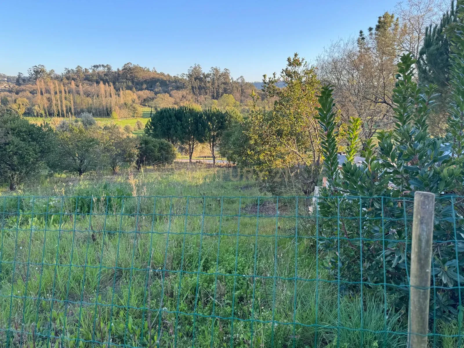 Moderna Moradia T1 em Pombal com Jardim e Terraço - Image 25