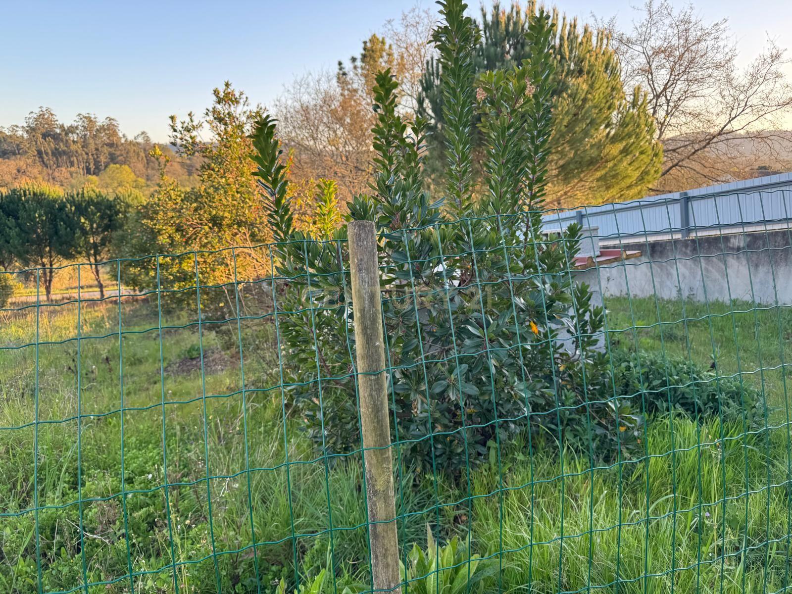 Moderna Moradia T1 em Pombal com Jardim e Terraço - Image 31