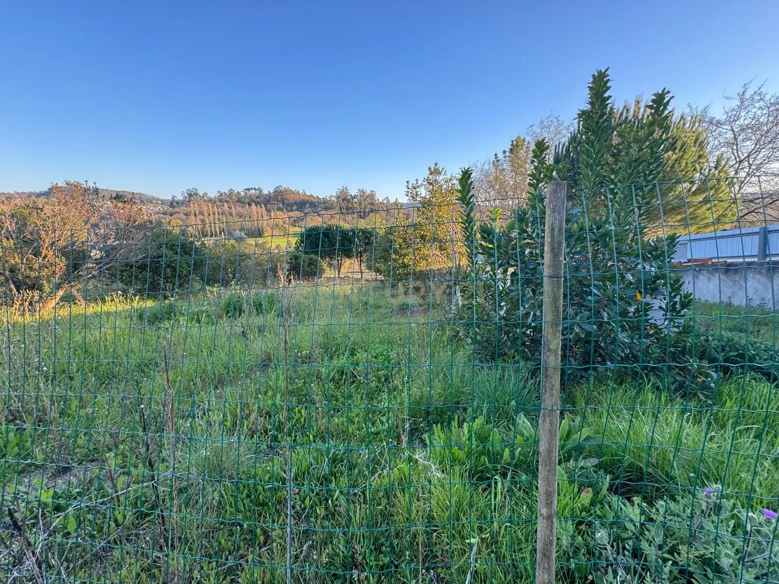 Moderna Moradia T1 em Pombal com Jardim e Terraço - Image 43