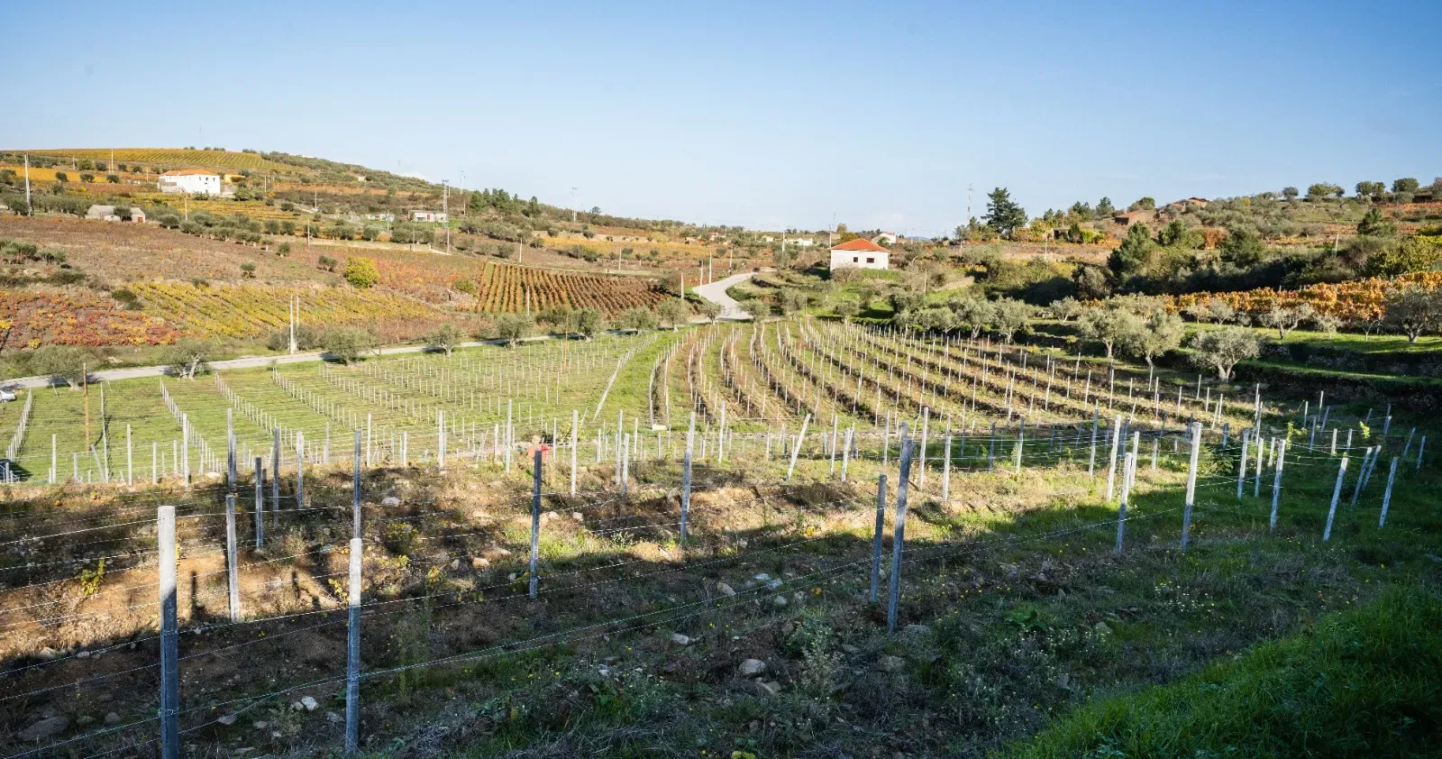 🏡Quinta com Moradia T3 e Vinha no Coração do Alto Douro Vinhateiro – Património Mundial da UNESCO - Image 57
