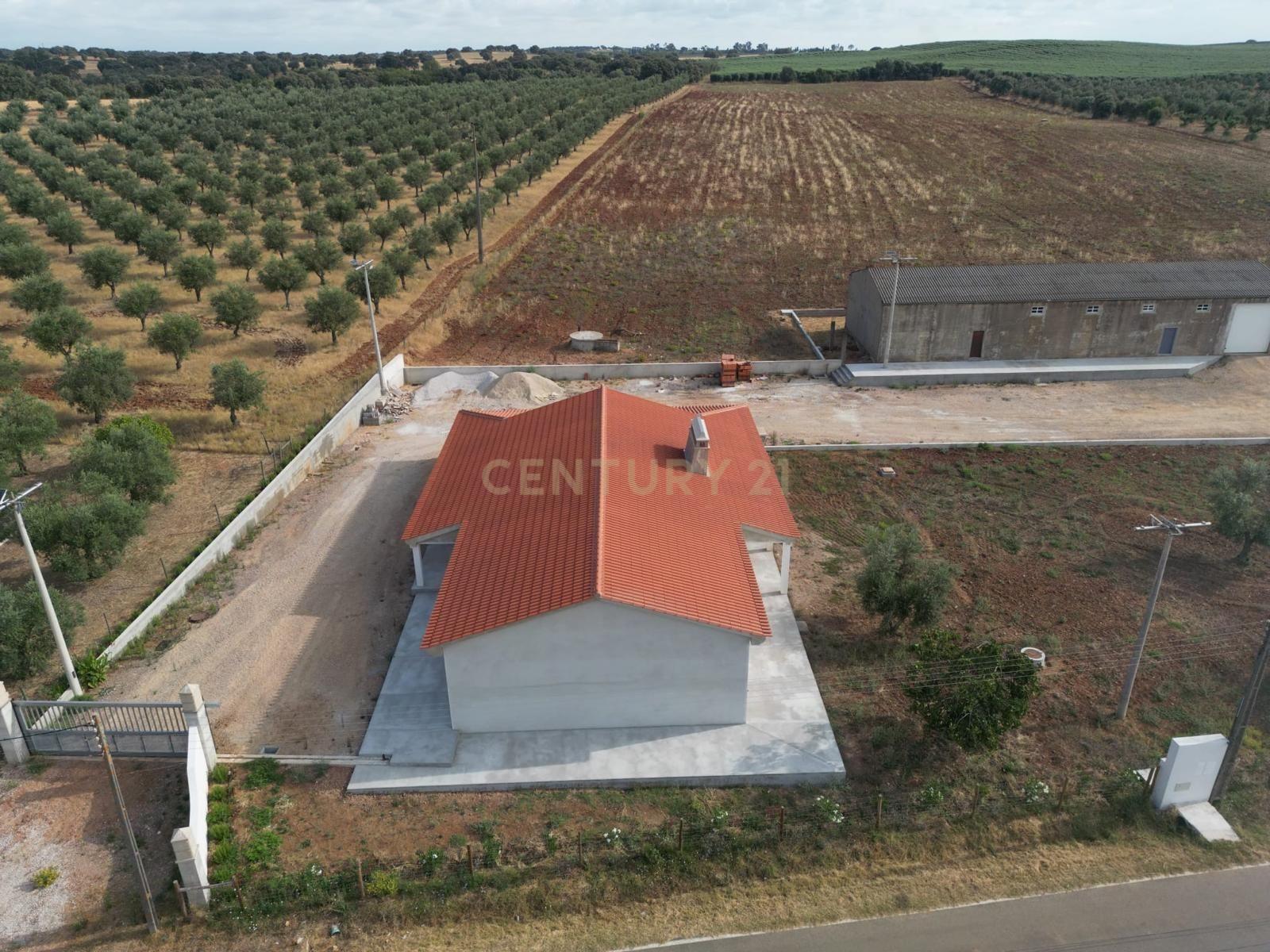 Fotografia 10 de Herdade Exclusiva em Casas Altas, Avis – O Seu Refúgio de Sonho à Medida no Coração do Alentejo
