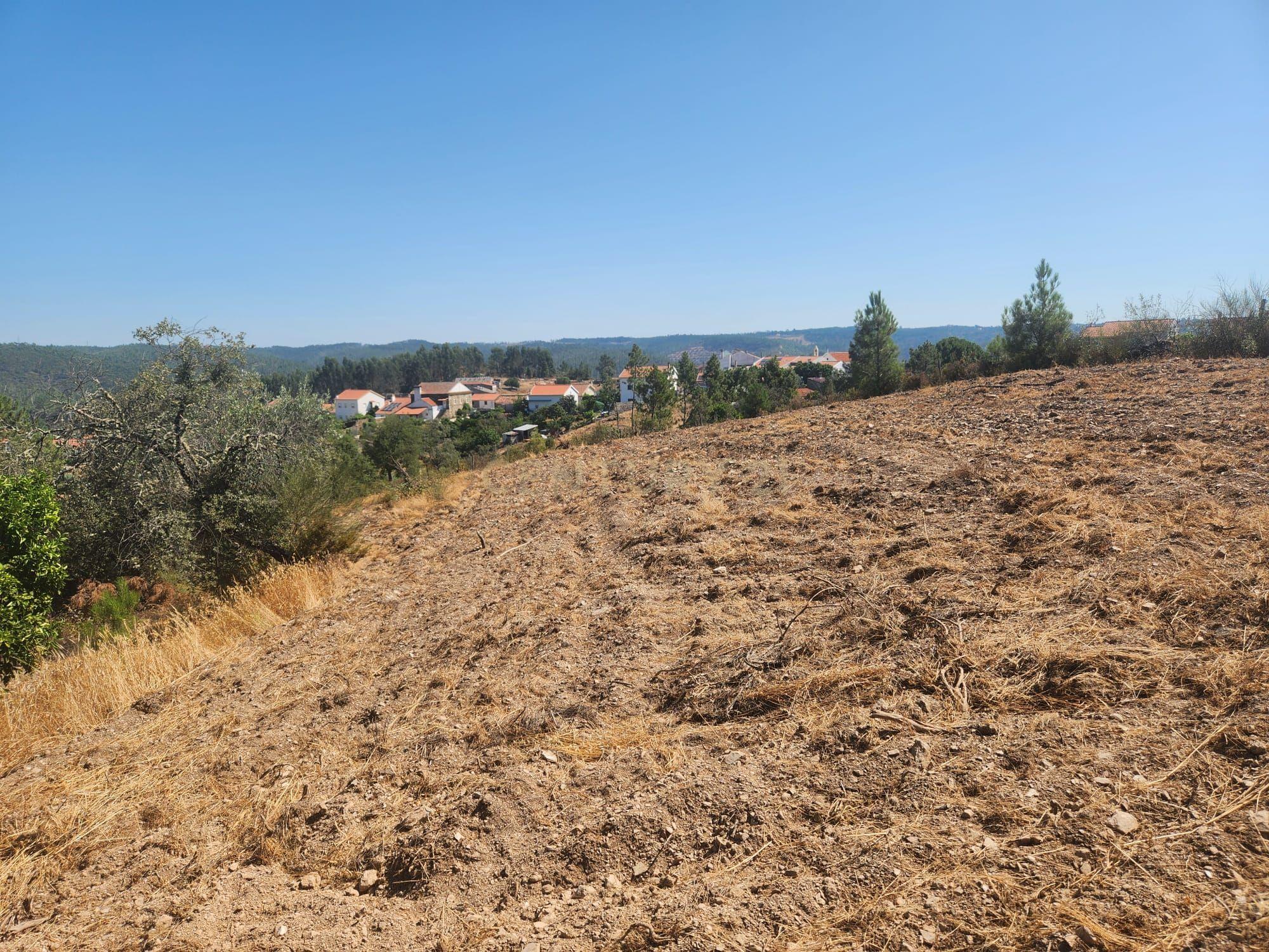 Fotografia 9 de Terreno com Vistas Panorâmicas e Dois Poços em Tostão- Vila Velha de Ródão