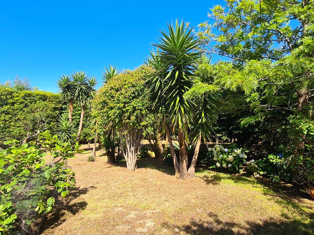  Country House em São Miguel, Açores: Refúgio Privado de Charme com piscina e quinta - Image 90