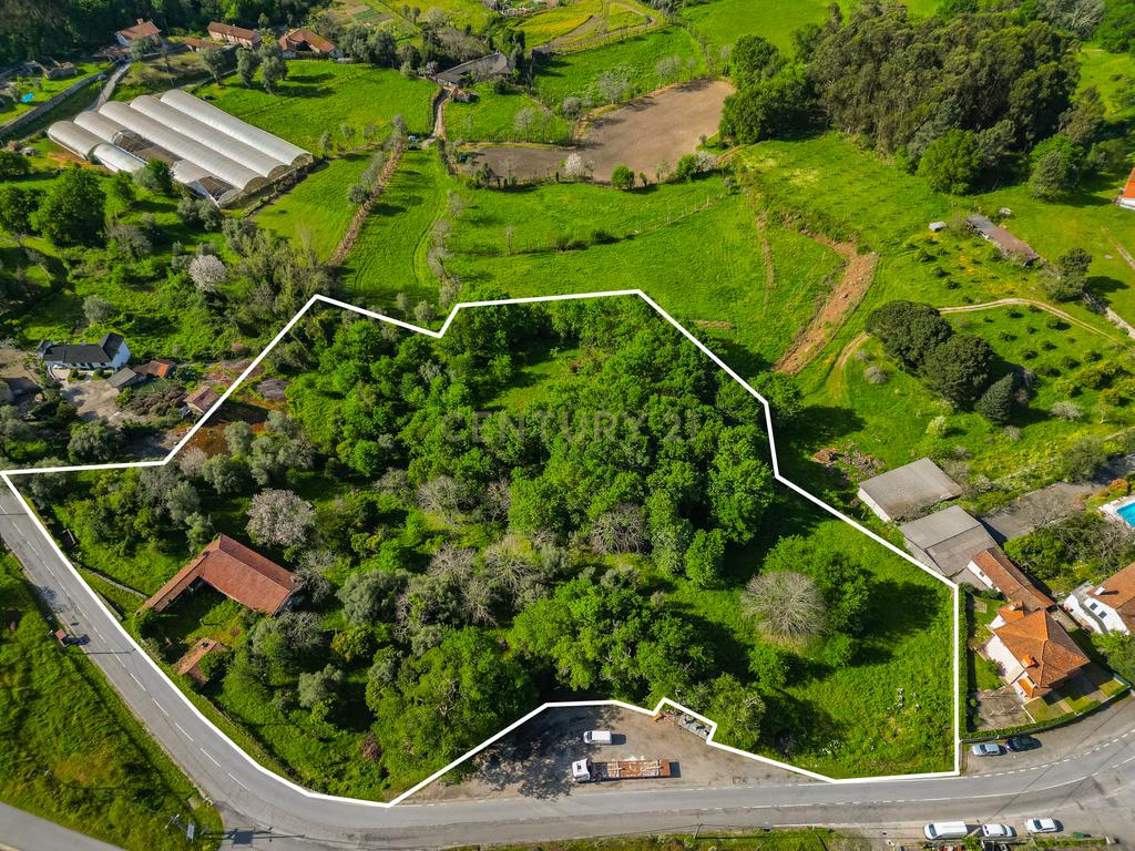 🌿 Quinta Rústica com 15.075 m² | Para Recuperar | Póvoa de Lanhoso, Braga - Image 1
