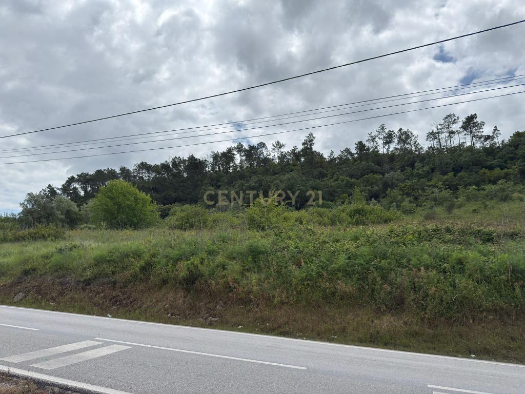 Terreno à venda em Alcobaça – Oportunidade única! - Image 4
