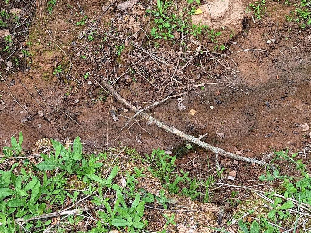 Terreno entre Caldas da Rainha e Benedita e próximo da freguesia de Santa Catarina - Image 10