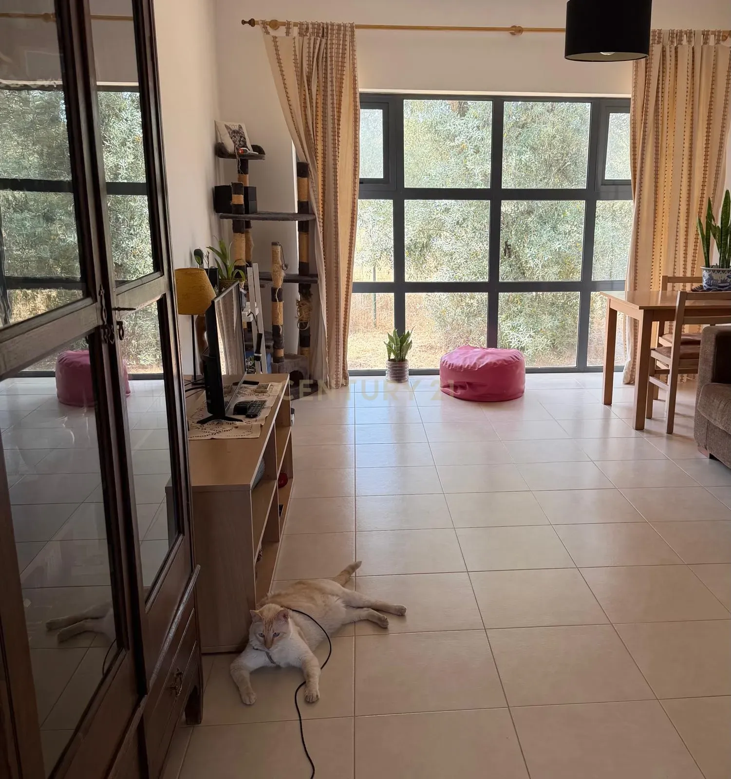 Encantador T1 em Quinta do Anjo, Palmela