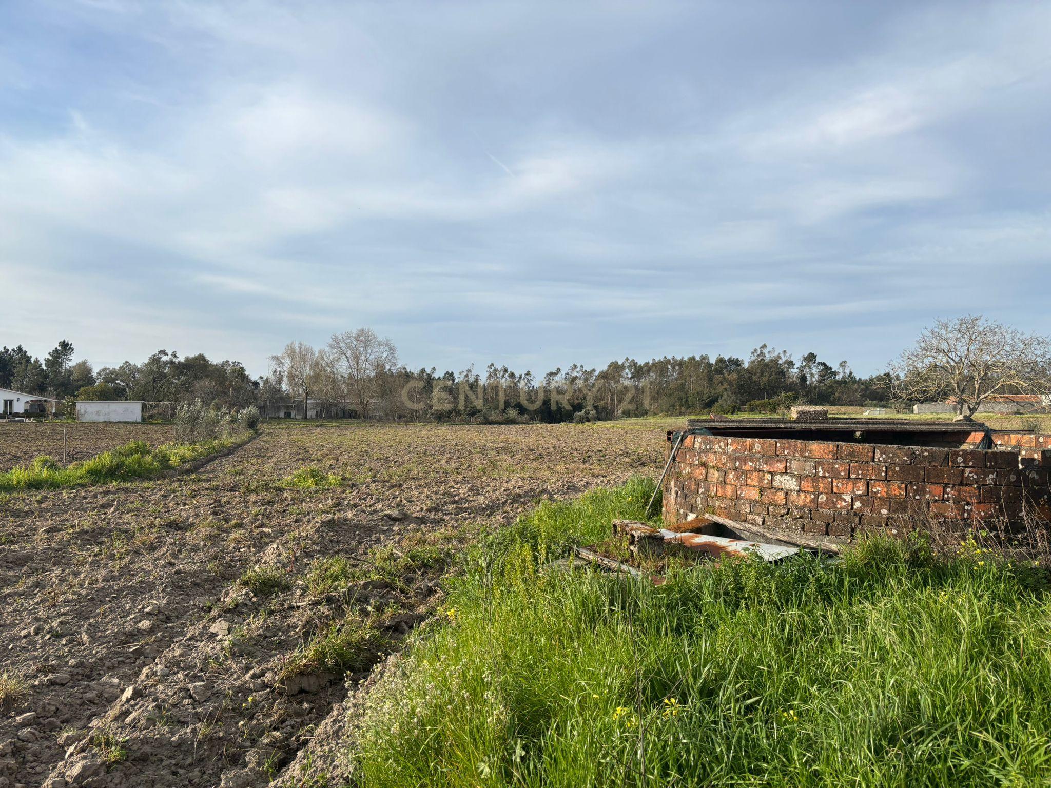 Moradia T3 à venda em Louriçal, Pombal — foto 20