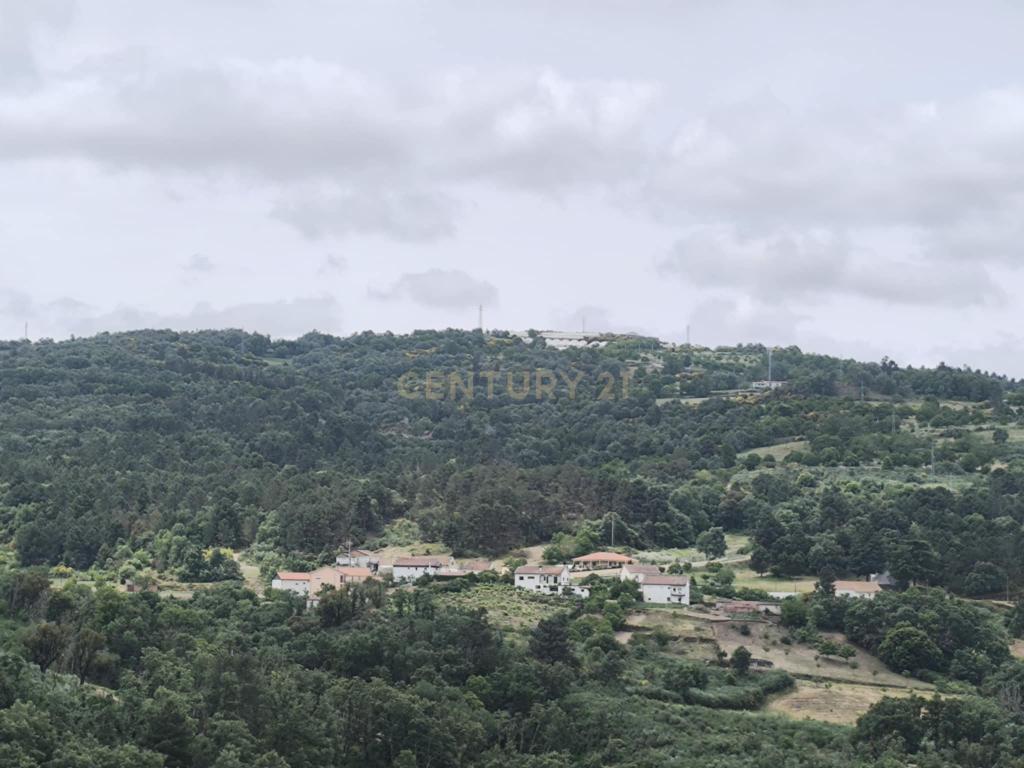 Casas prontas a habitar com terreno, arvores de fruto, forno e água própria. - Image 7