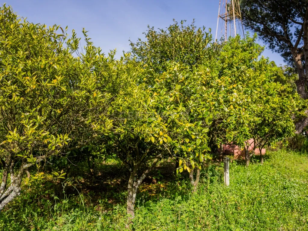 Moradia de charme T5 com Garagem e Terreno em Abrunheira, Sintra - Image 53