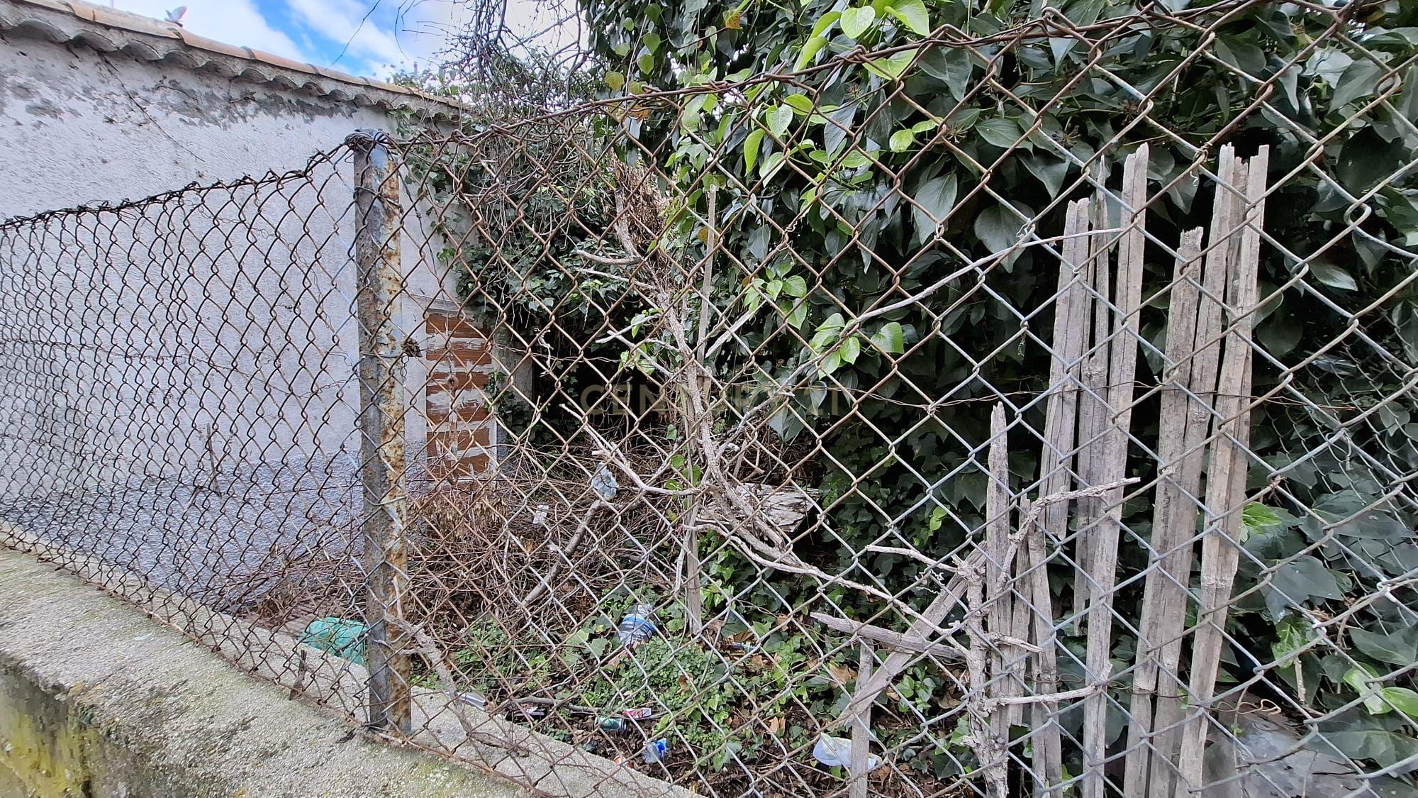 Terreno - Image 14