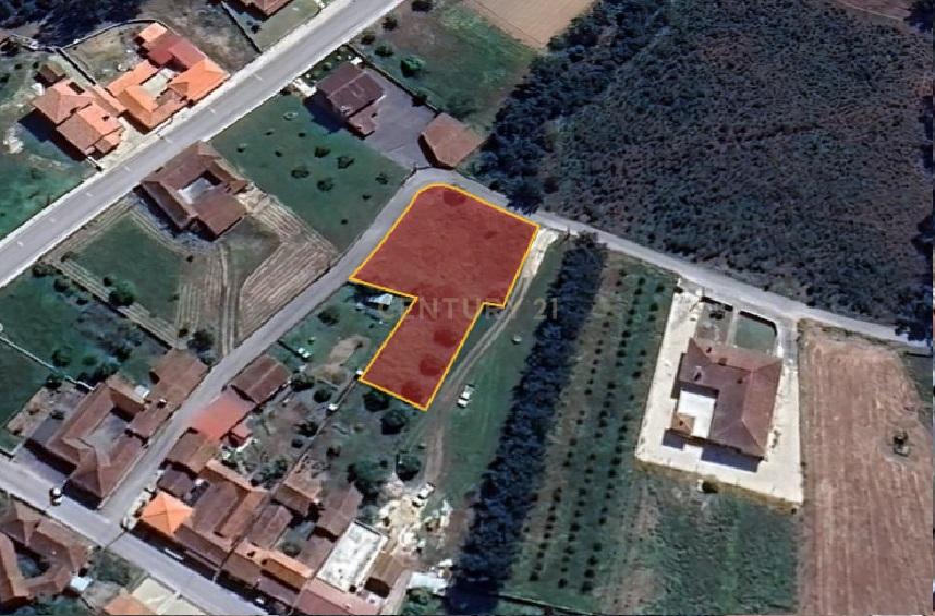 Terreno com Projeto Aprovado - Image 14