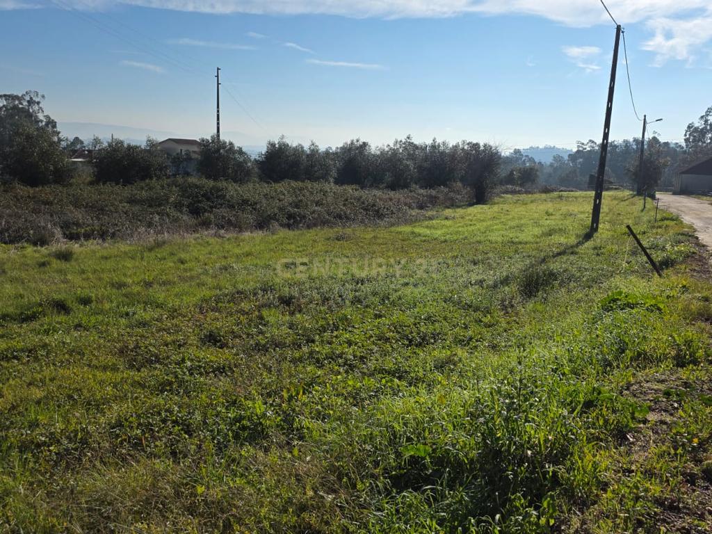 Terreno em Soure, Coimbra - Excelente oportunidade de négocio - Image 12