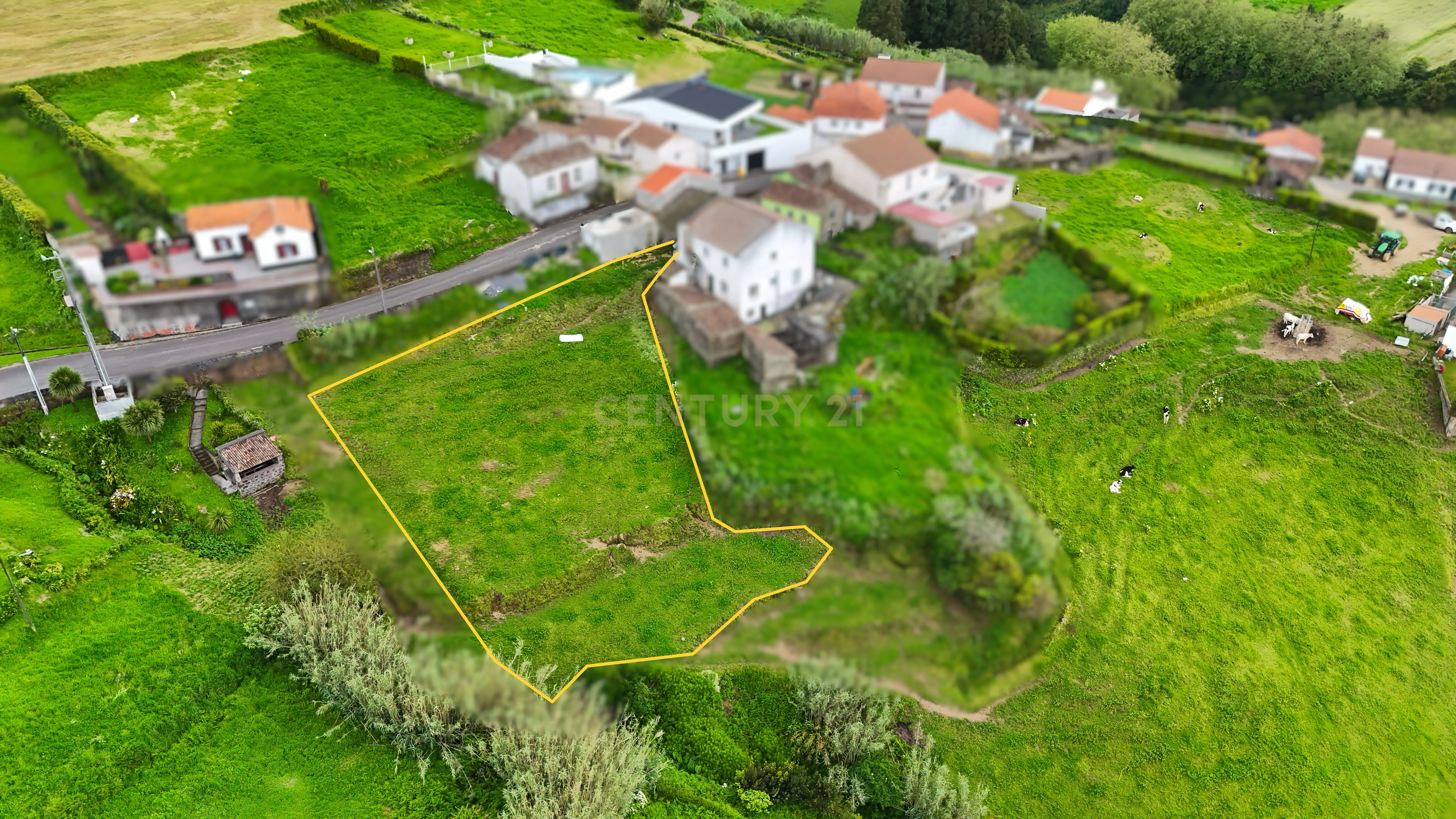 Ruína com Vista Mar e Potencial de Construção – Feteira Grande, Nordeste (São Miguel, Açores) - Image 9