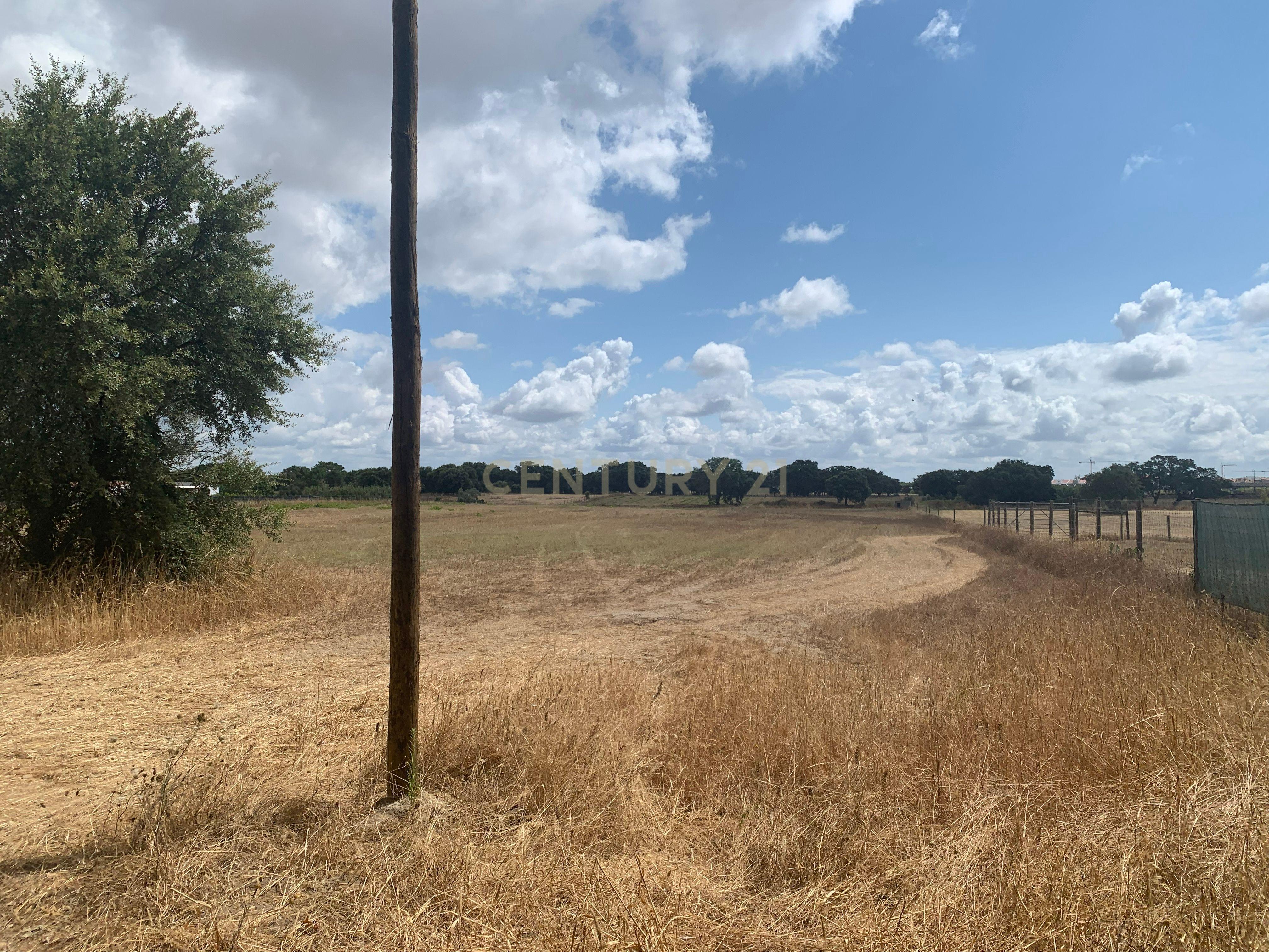 Fotografia 10 de Vende-se Imperdível Quinta no Pinhal Novo