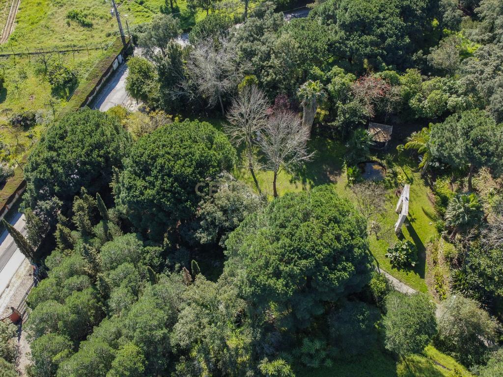 🏡 Terreno para Construção – 2.746 m² | Oportunidade Única Perto de Setúbal! 🌿 - Image 47