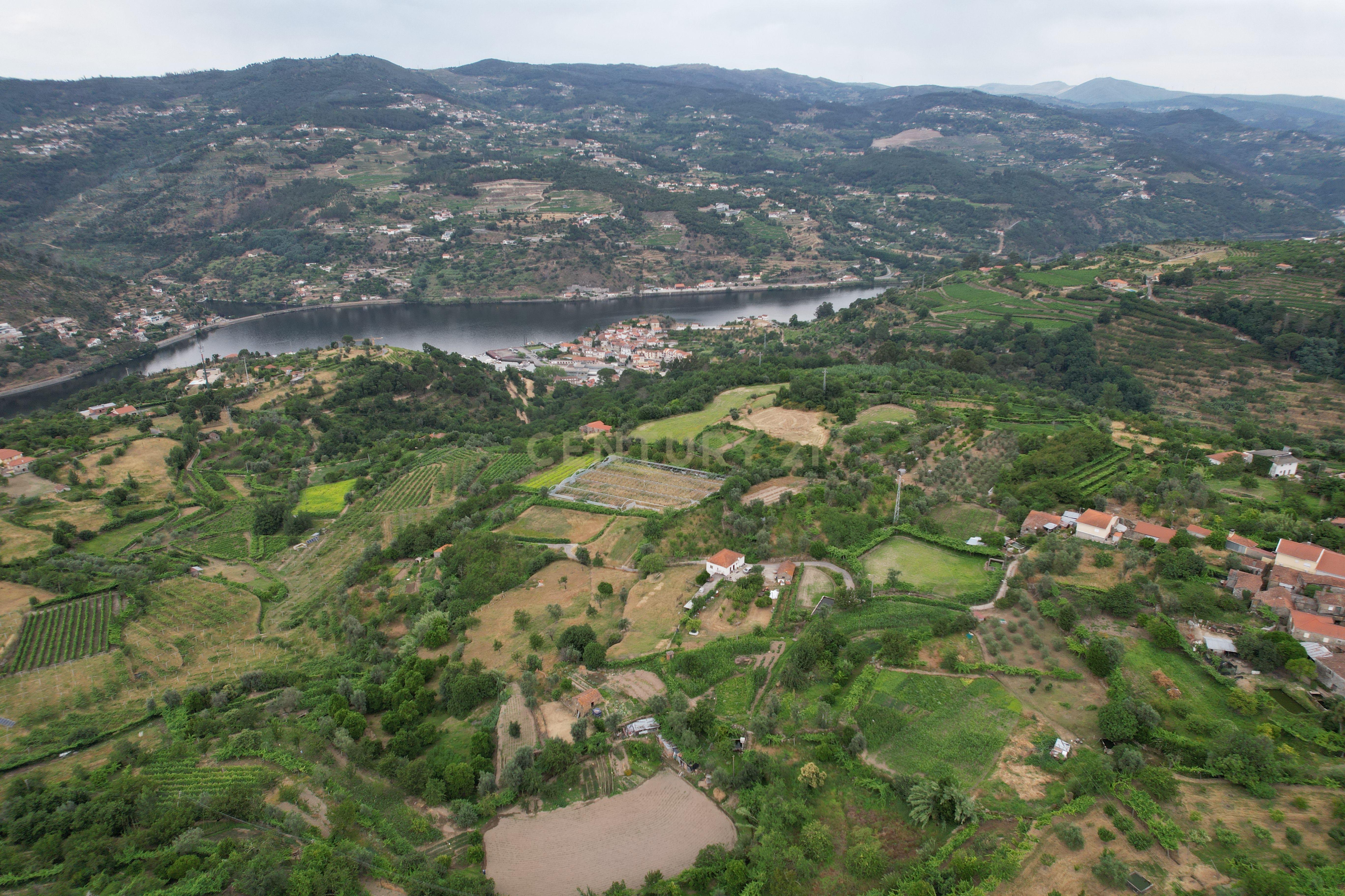 Fotografia 6 de Quinta em Miomães, Resende | Um refúgio rural com cerca de 4 hectares de potencial