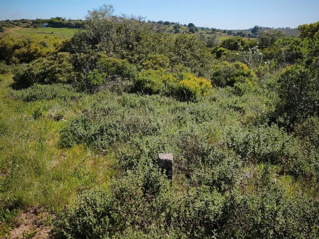 Terreno Misto com Ruína na Pedragosa – Oportunidade Única no Algarve - Image 7